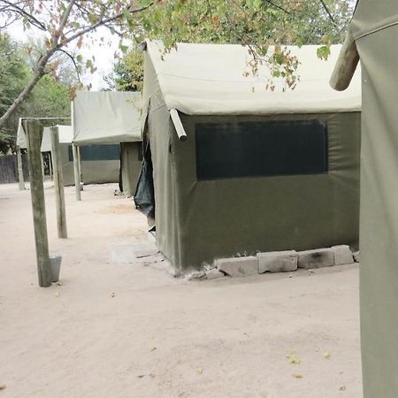 Hotel Motsebe Backpackers à Maun Extérieur photo
