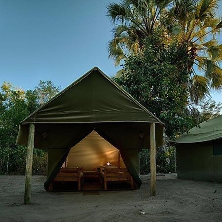 Hotel Motsebe Backpackers à Maun Extérieur photo