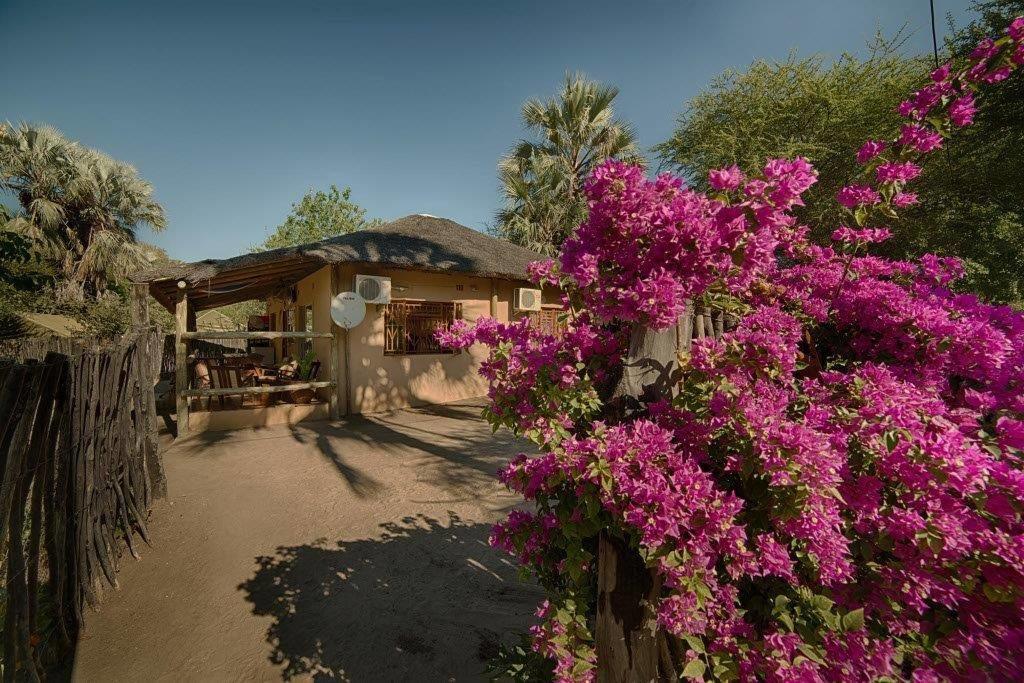 Hotel Motsebe Backpackers à Maun Extérieur photo