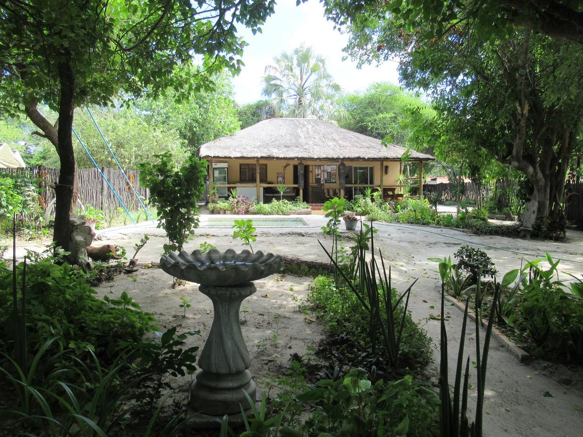 Hotel Motsebe Backpackers à Maun Extérieur photo