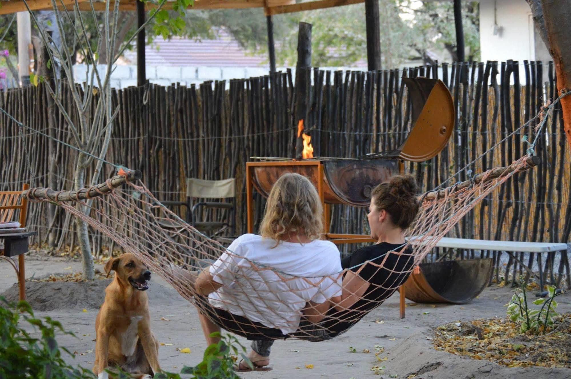 Hotel Motsebe Backpackers à Maun Extérieur photo
