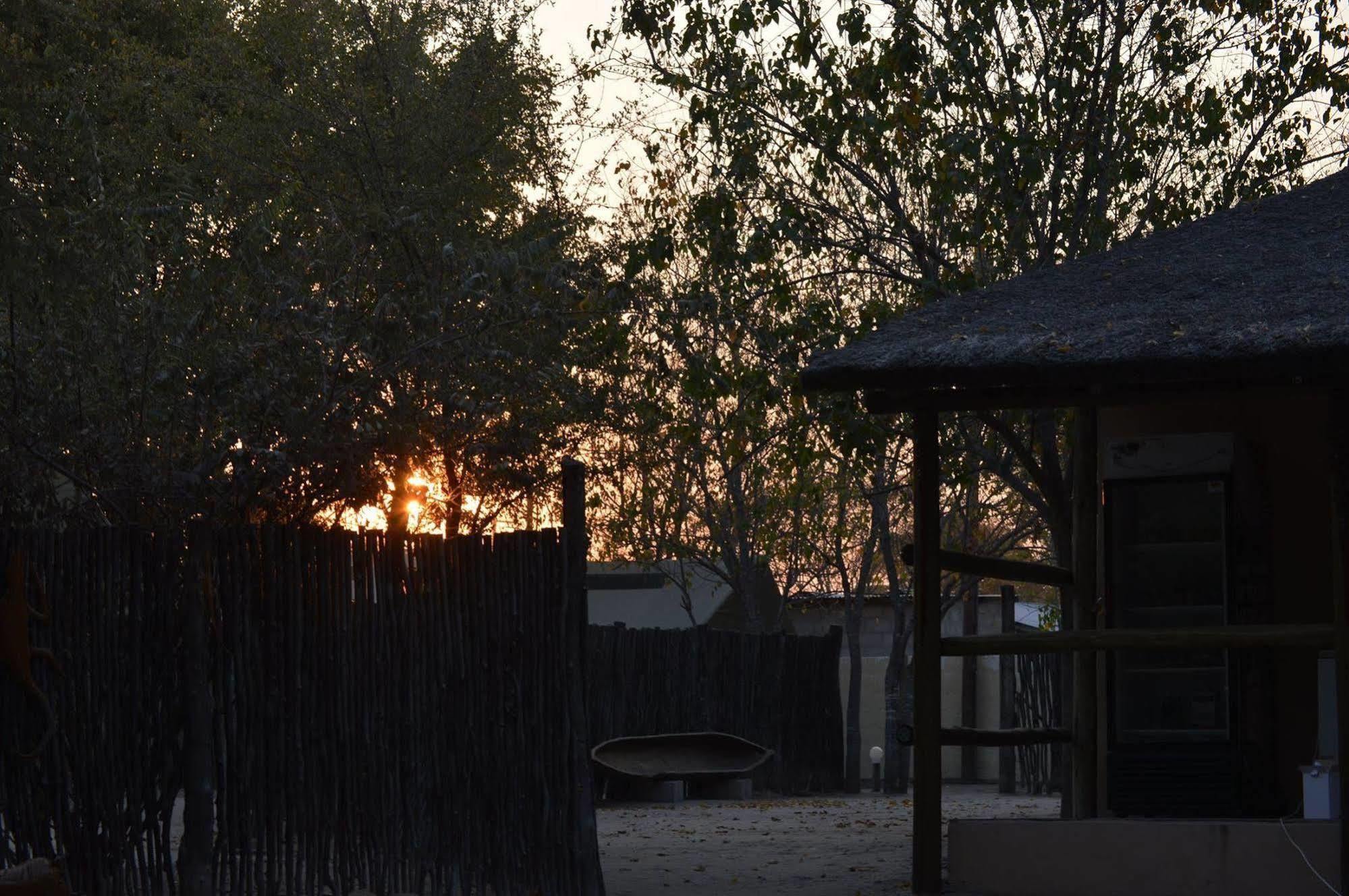 Hotel Motsebe Backpackers à Maun Extérieur photo