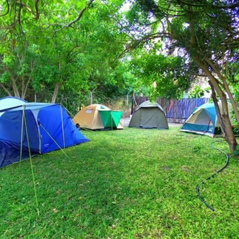 Hotel Motsebe Backpackers à Maun Extérieur photo