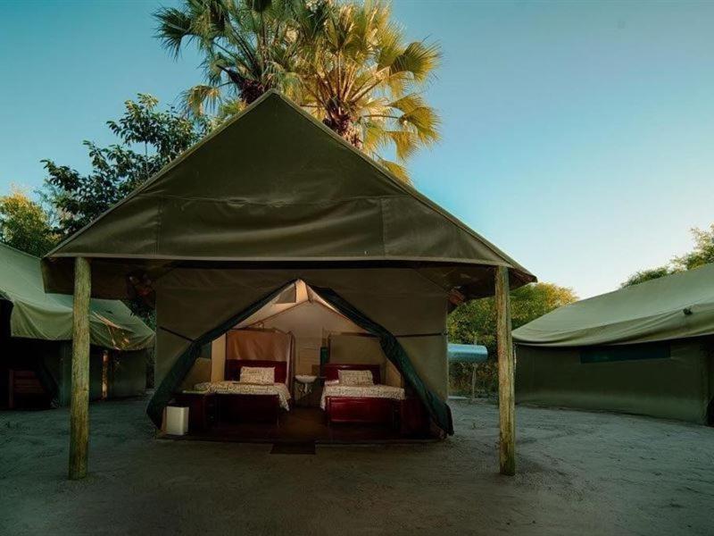 Hotel Motsebe Backpackers à Maun Extérieur photo