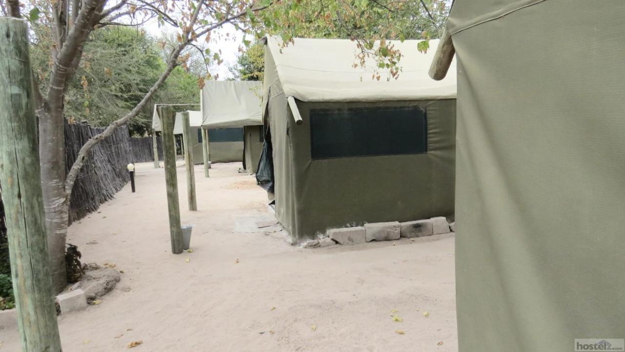 Hotel Motsebe Backpackers à Maun Extérieur photo