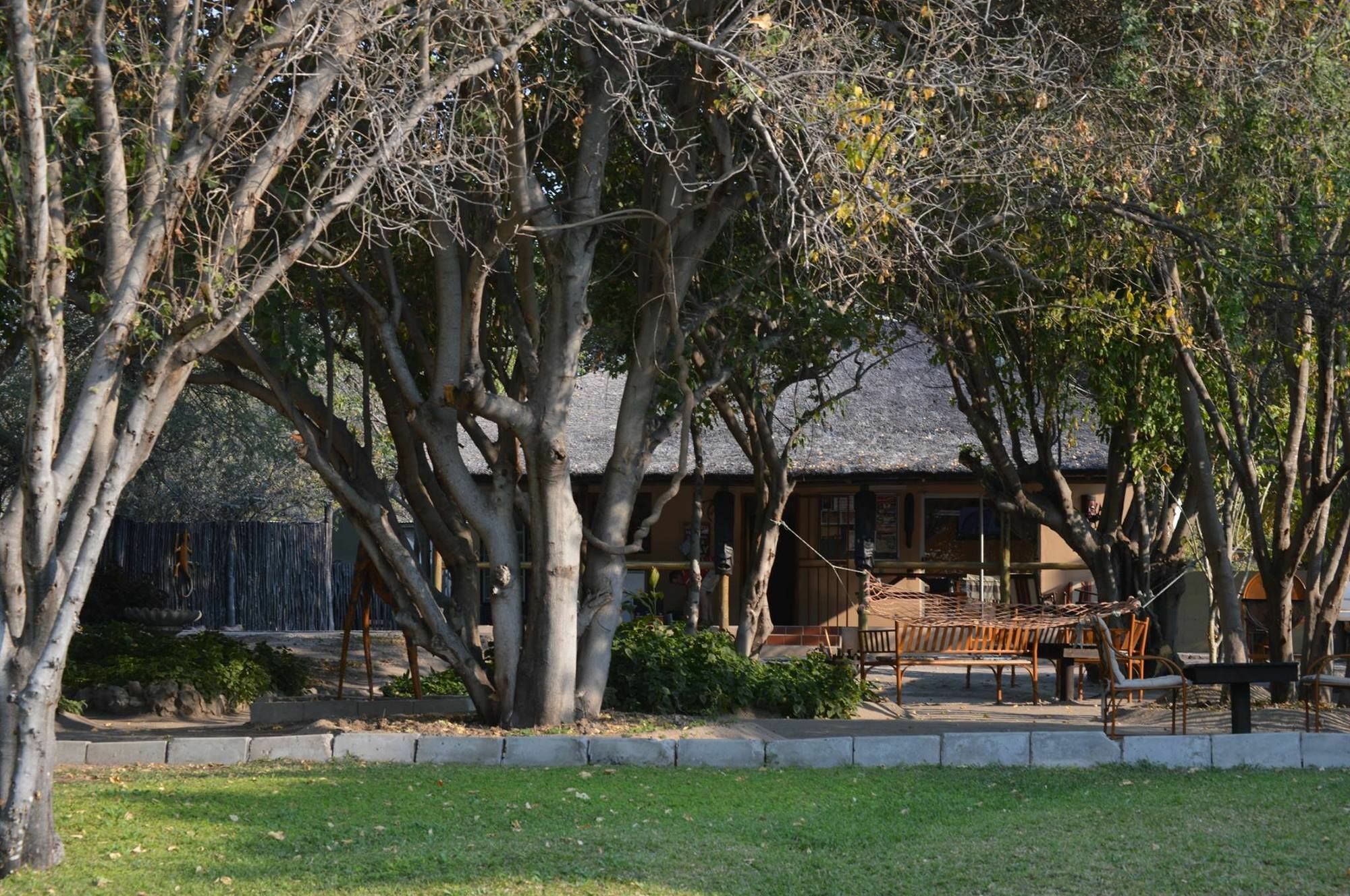 Hotel Motsebe Backpackers à Maun Extérieur photo